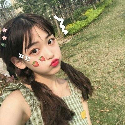 小马的山村日记